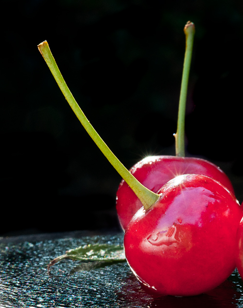 Pie-cherry – Morganica